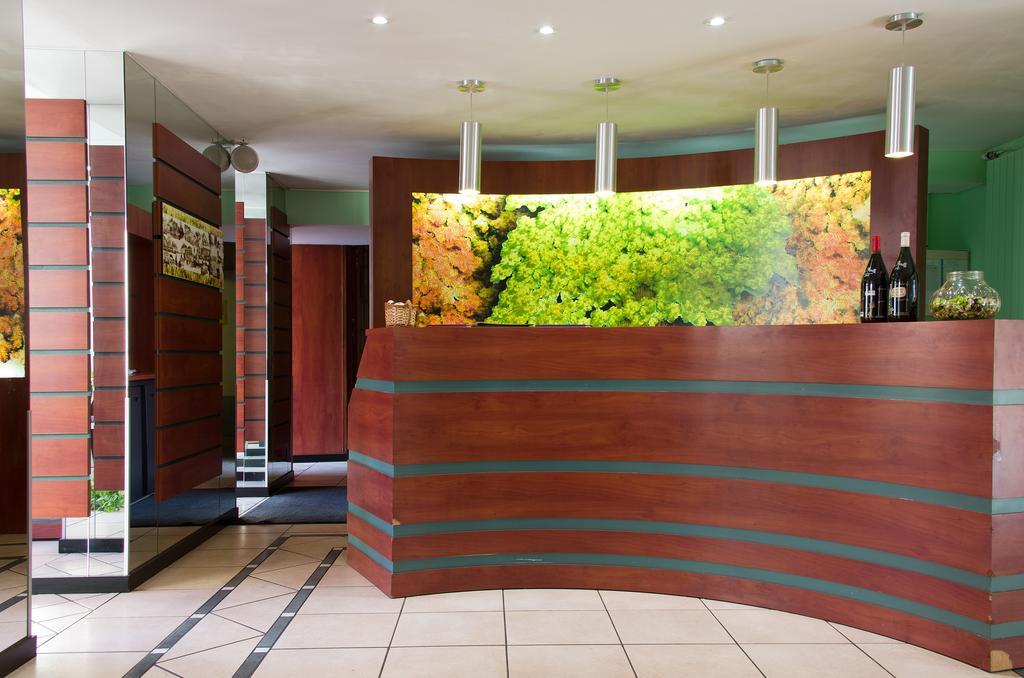 Logis Hotel-Restaurant Le Chene Vert Сен-Пурсен-сюр-Сьюль Экстерьер фото
